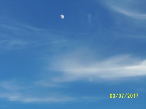 100_1926.JPG