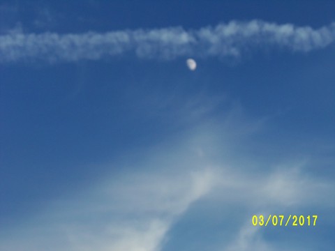 100_1938.JPG