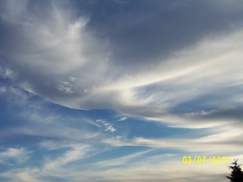 100_1929.JPG