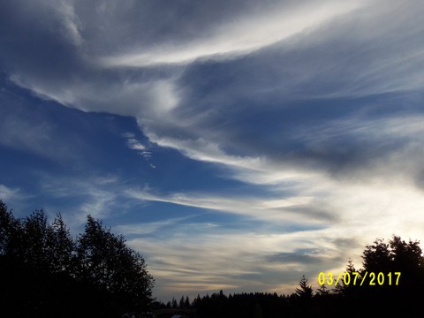 100_1933.JPG