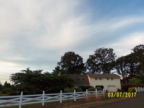 100_1937.JPG