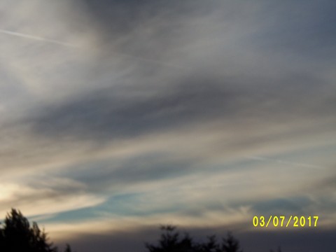 100_1939.JPG