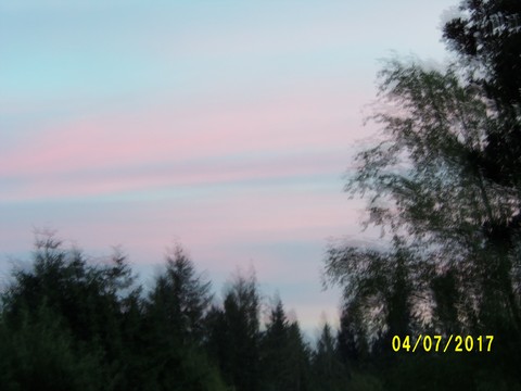 100_1943.JPG