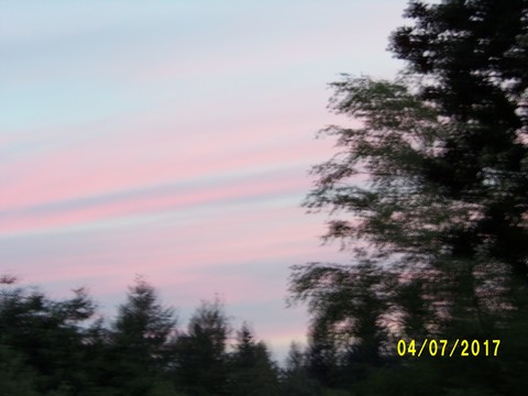100_1944.JPG