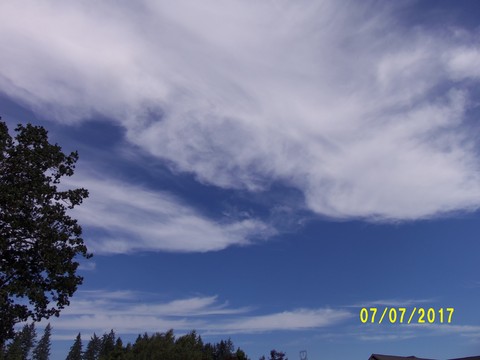 100_1949.JPG
