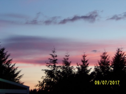 100_1988.JPG