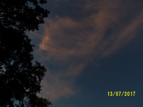 100_2005.JPG