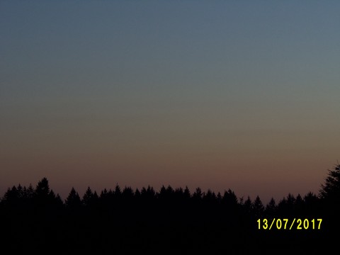 100_2007.JPG