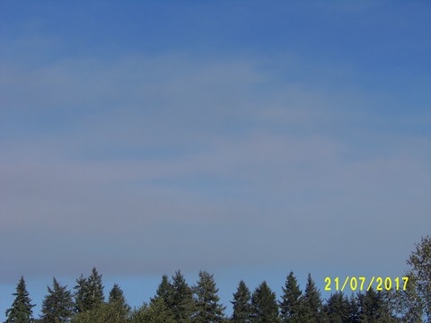100_2032.JPG
