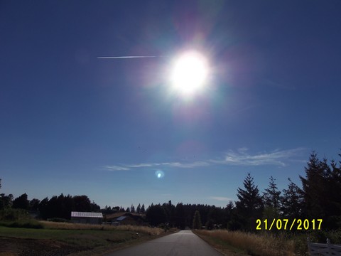 100_2031.JPG