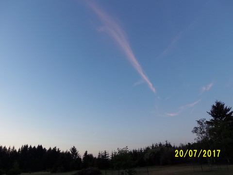 100_2023.JPG