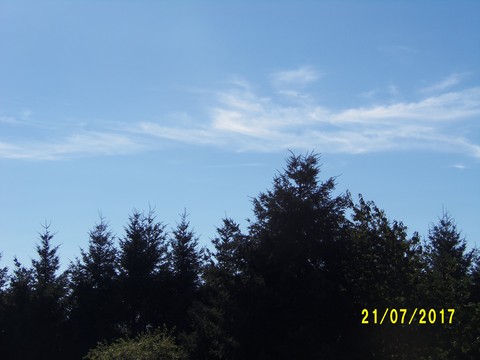 100_2034.JPG