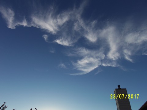 100_2042.JPG
