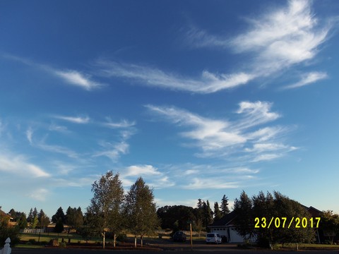 100_2043.JPG