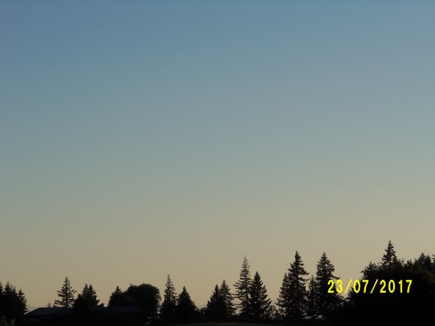 100_2046.JPG