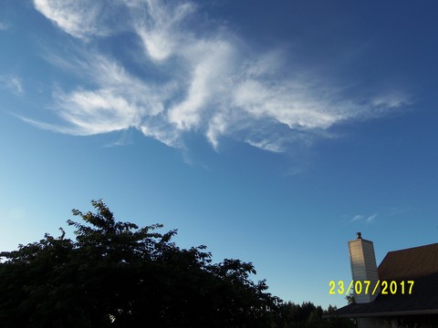 100_2047.JPG