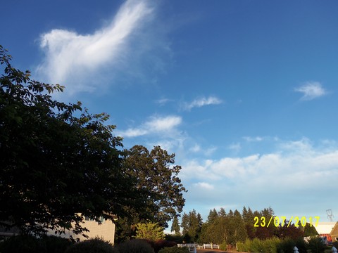 100_2048.JPG