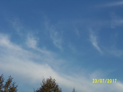 100_2050.JPG