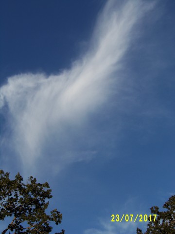 100_2051.JPG