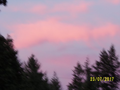 100_2054.JPG