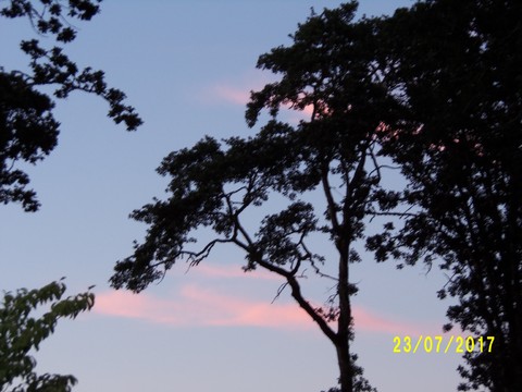 100_2057.JPG