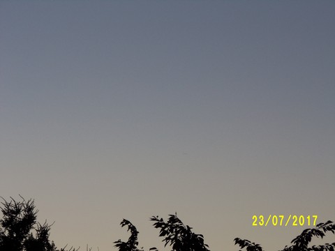 100_2056.JPG