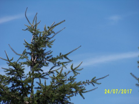 100_2065.JPG