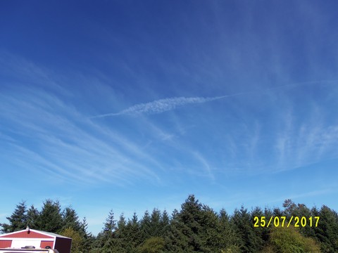 100_2074.JPG