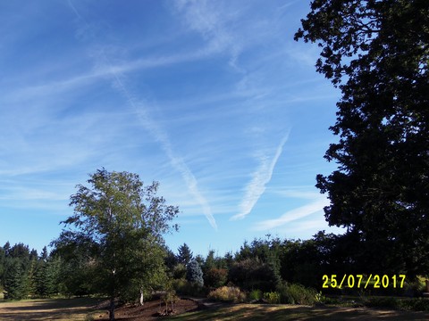 100_2075.JPG