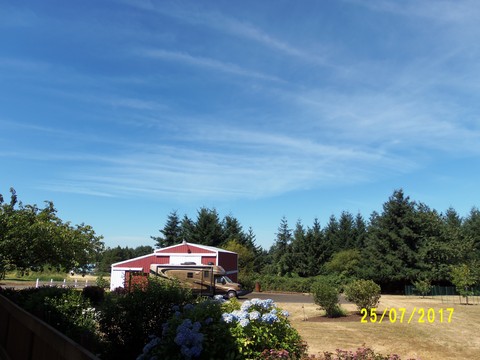 100_2083.JPG