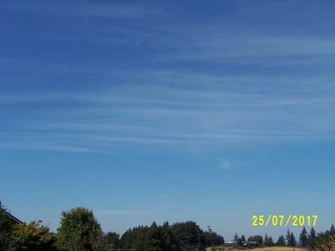 100_2084.JPG