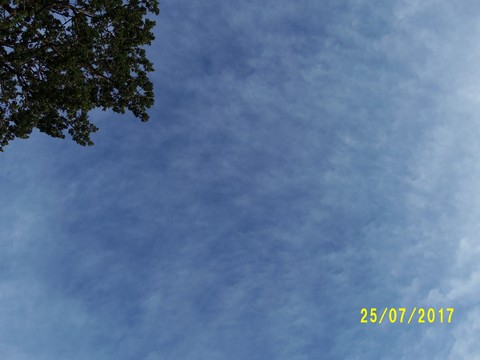 100_2096.JPG