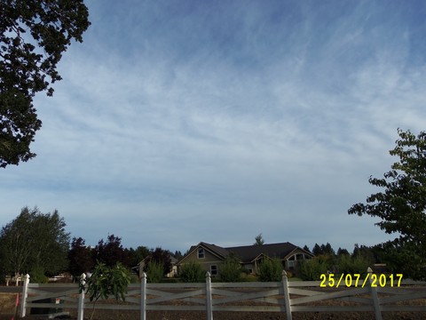 100_2097.JPG