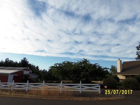 100_2099.JPG