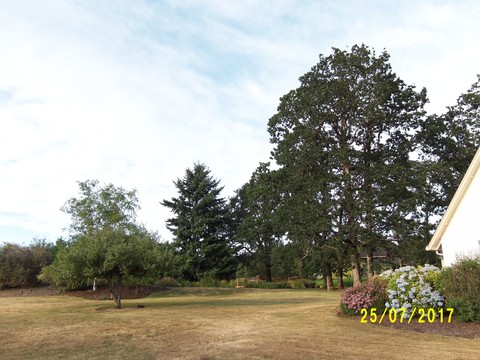 100_2104.JPG
