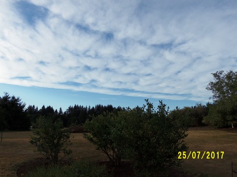 100_2105.JPG