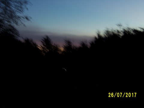 100_2115.JPG