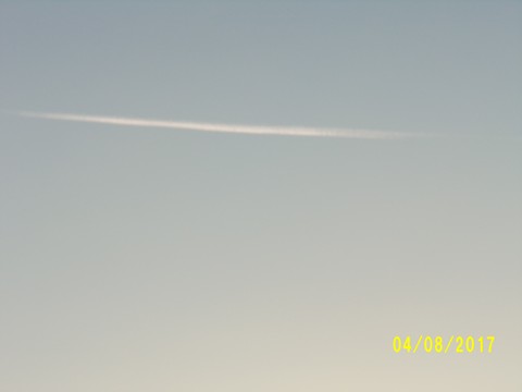 100_2121.JPG