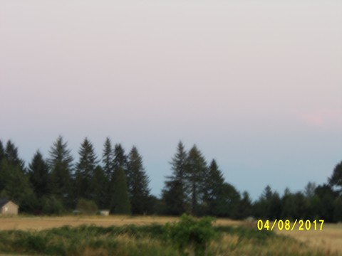 100_2131.JPG