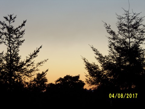 100_2133.JPG