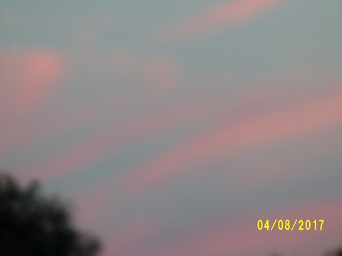 100_2136.JPG