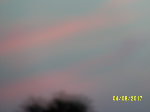 100_2137.JPG