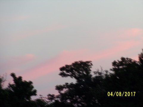100_2140.JPG