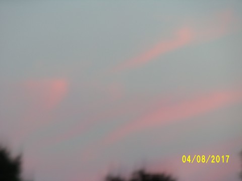 100_2141.JPG