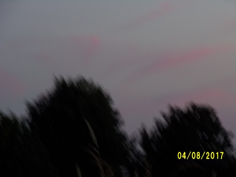 100_2147.JPG