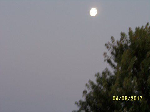 100_2142.JPG