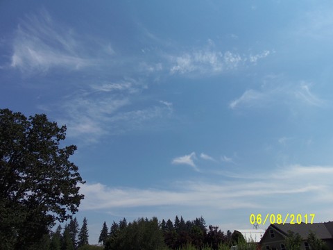 100_2160.JPG