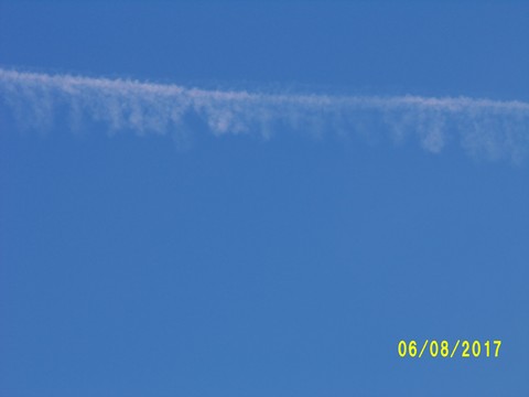 100_2174.JPG