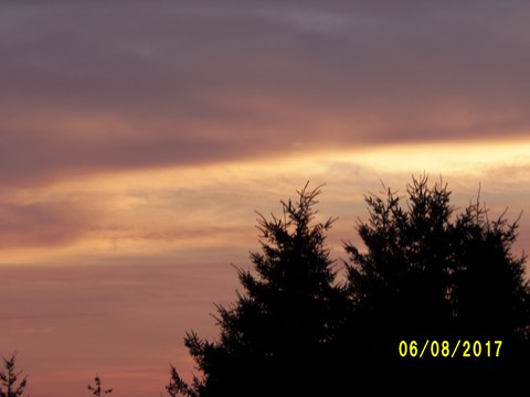 100_2175.JPG