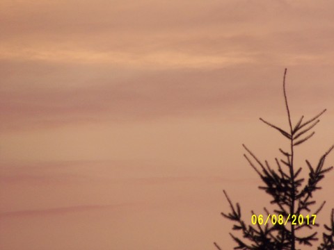 100_2177.JPG